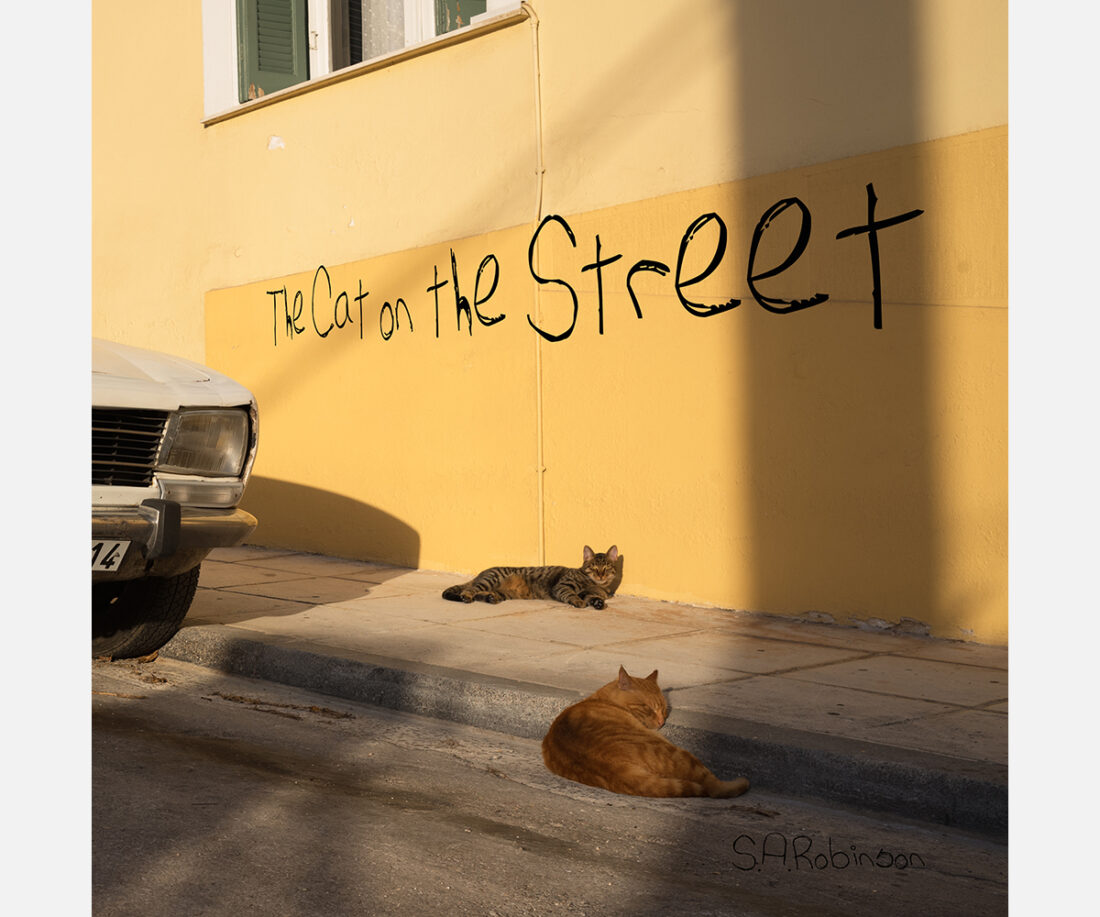 <b>The Cat on the Street</b> <br/> Simon Robinson