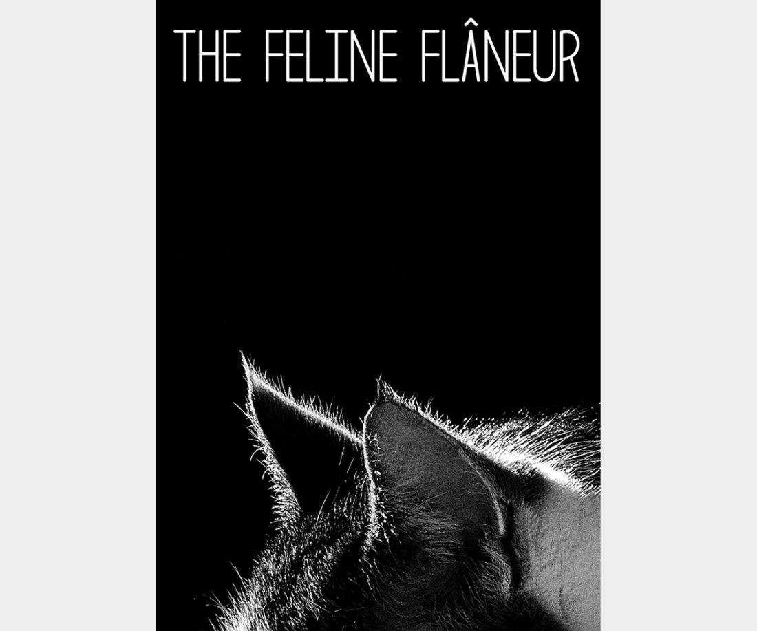 <b>The Feline Flâneur</b>